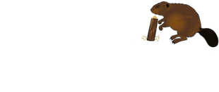 logo_lizotte_solution